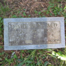 Dr David Hunt Grave