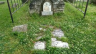 Rachel Berry Colvard Grave