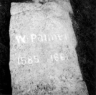 Image: Palmer, Walter